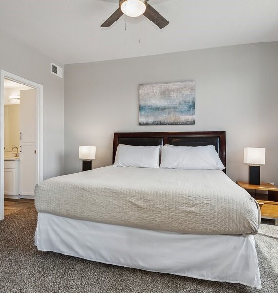 Ascent One Bedroom