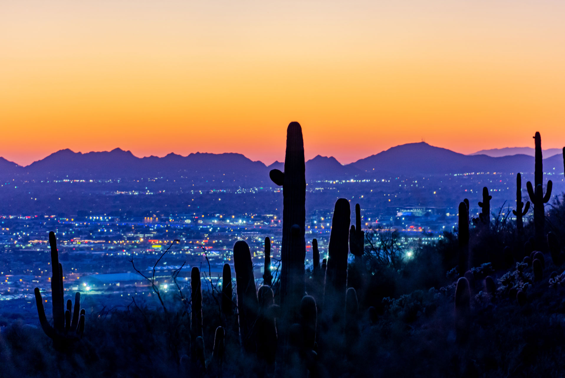 Arizona Skyline